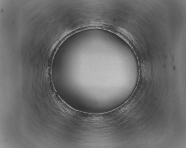 X0000069821260200606021302