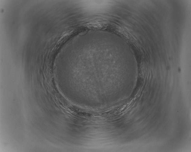 X0000069821297200606021301