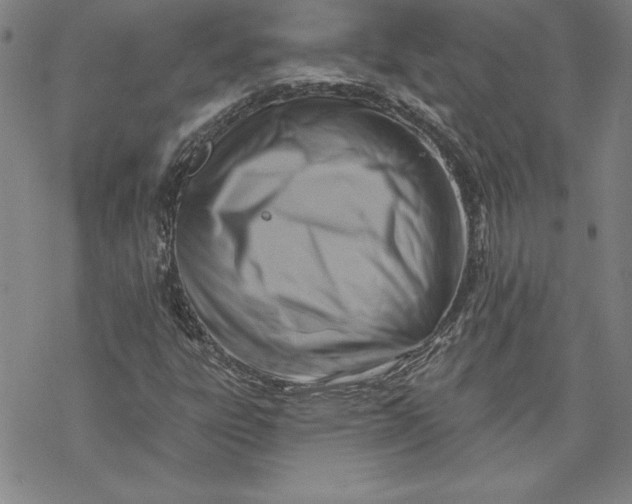 X0000069821303200606021301