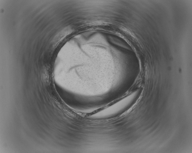 X0000069821305200606021301