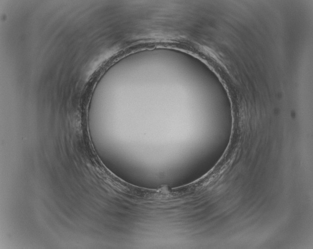 X0000069821307200606021301