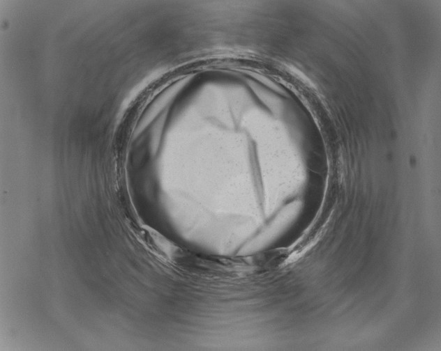 X0000069821310200606021301