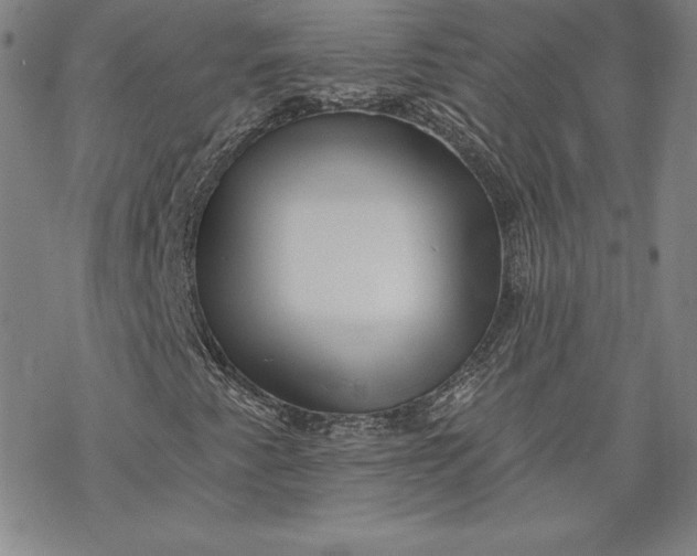 X0000069821345200606021301