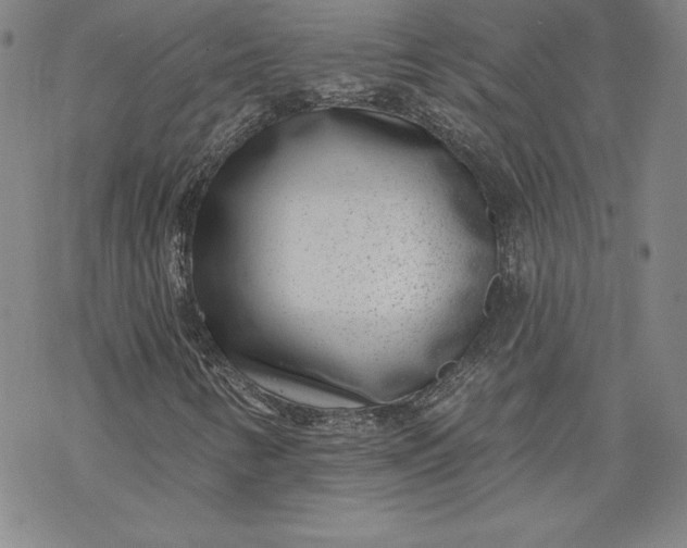X0000069821346200606021301
