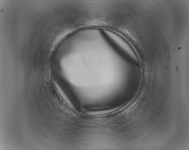 X0000069821358200606021301