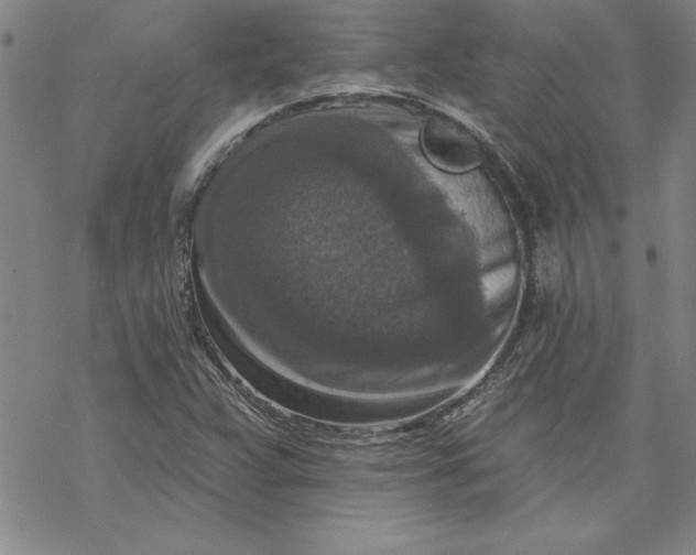 X0000069821359200606021301