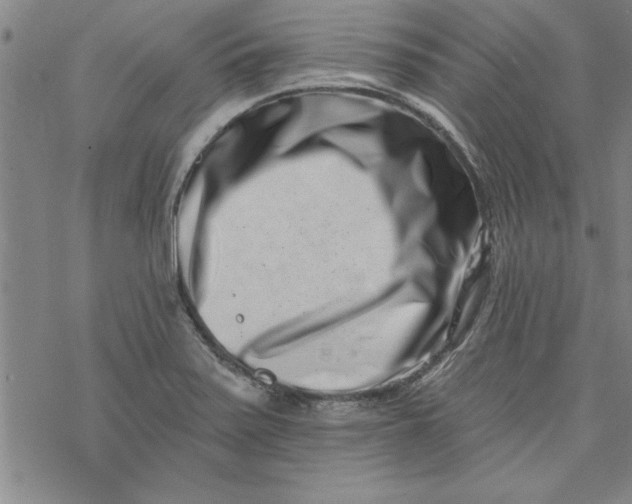 X0000069821371200606021300