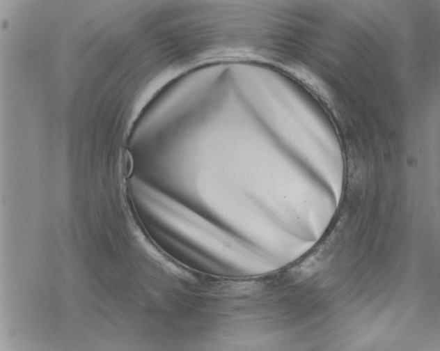 X0000069821382200606021300