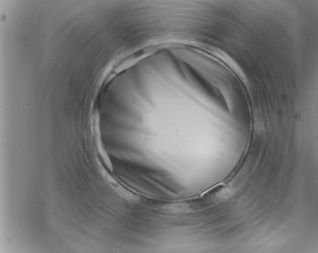X0000069821388200606021300