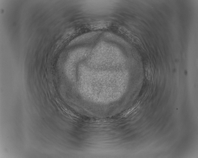 X0000069821393200606021259