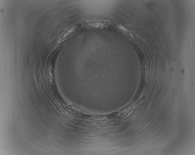 X0000069821394200606021259
