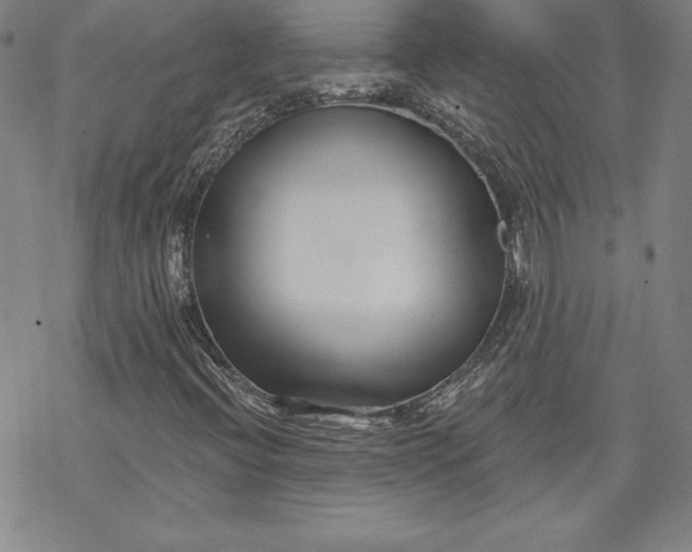 X0000069821396200606021259