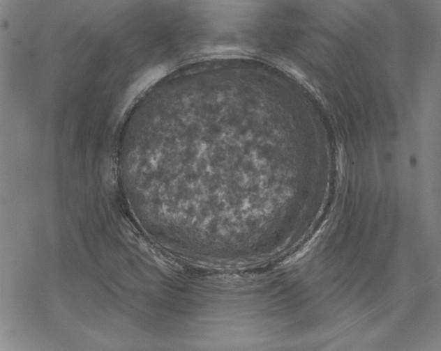 X0000069821405200606021300