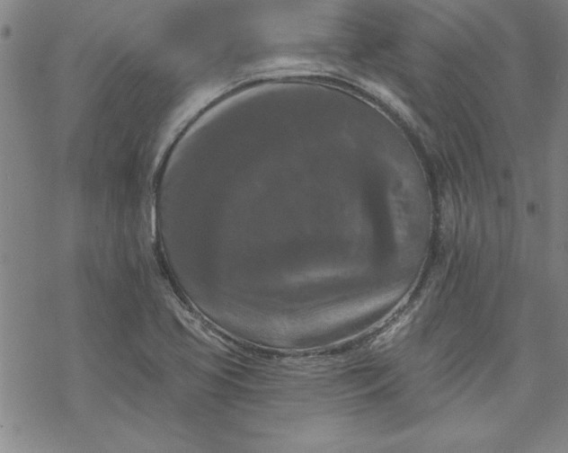 X0000069821413200606021300