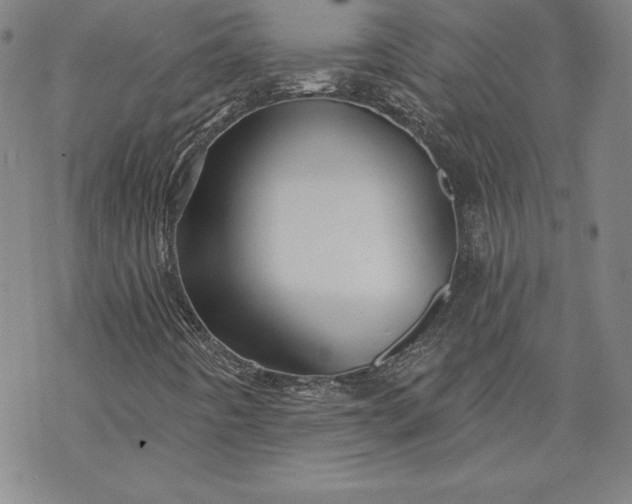 X0000069821442200606021259