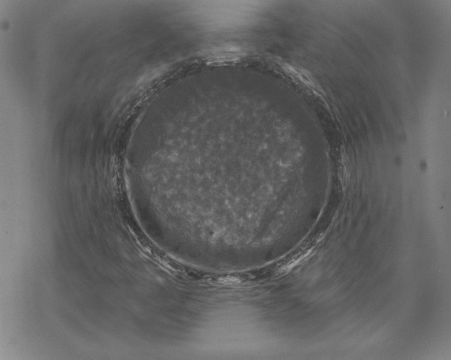 X0000069821445200606021259