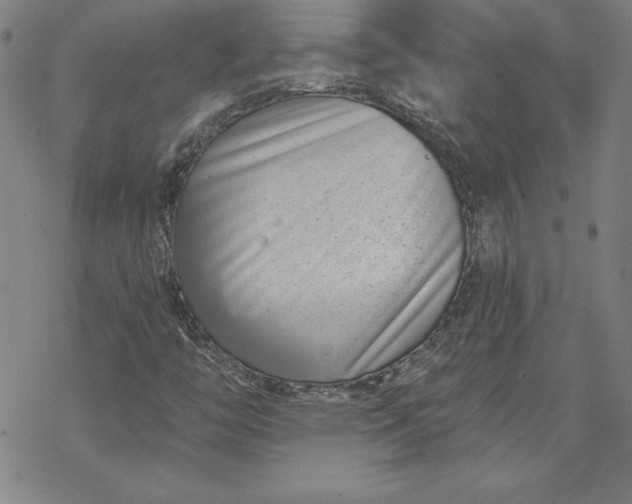 X0000069821446200606021259