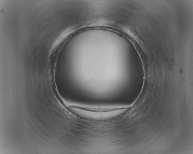X0000069821456200606021259