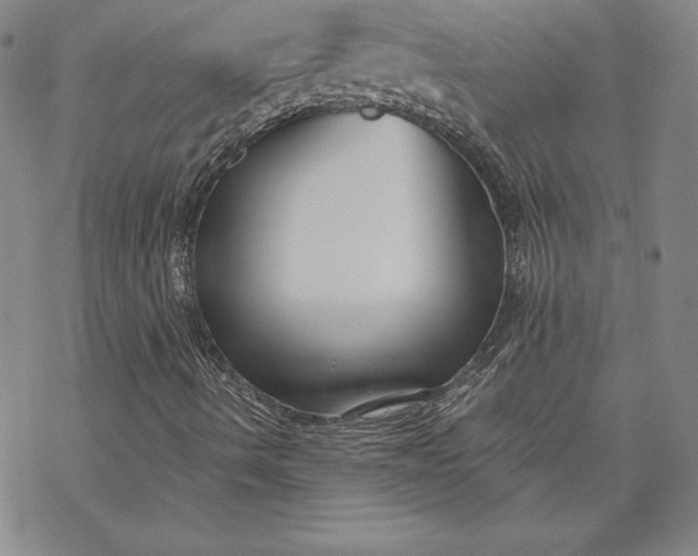 X0000069821490200606021258