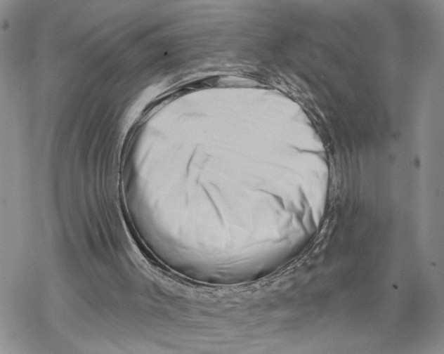 X0000069820003200606091432