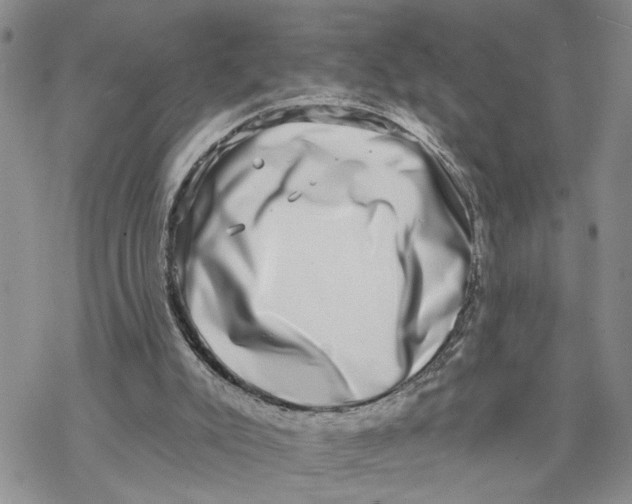 X0000069820007200606091432