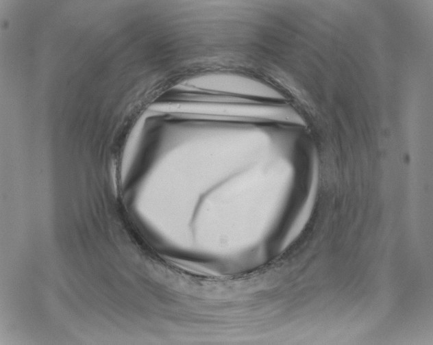X0000069820022200606091432
