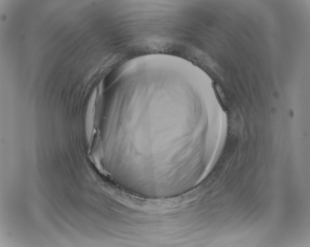 X0000069820027200606091432