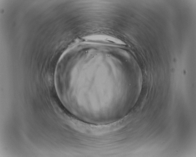 X0000069820039200606091432
