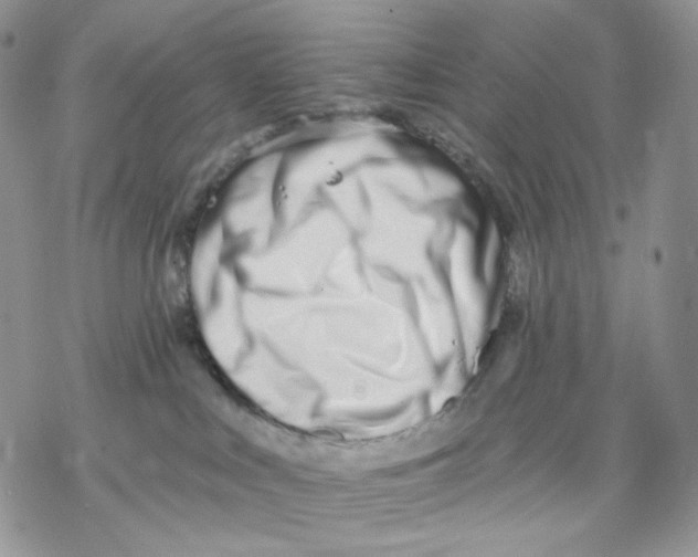 X0000069820043200606091432
