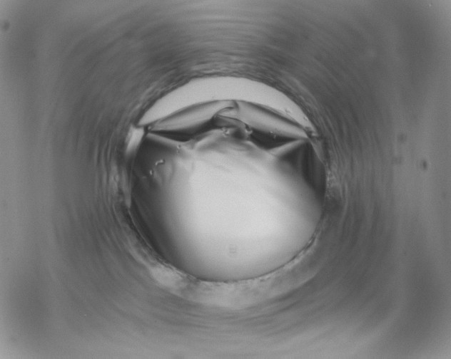 X0000069820045200606091432