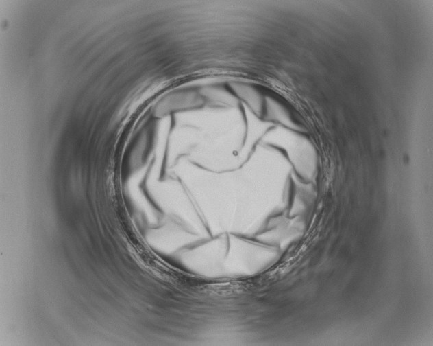 X0000069820050200606091431
