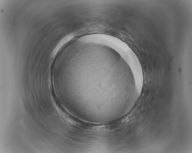 X0000069820054200606091431