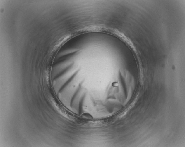 X0000069820057200606091431