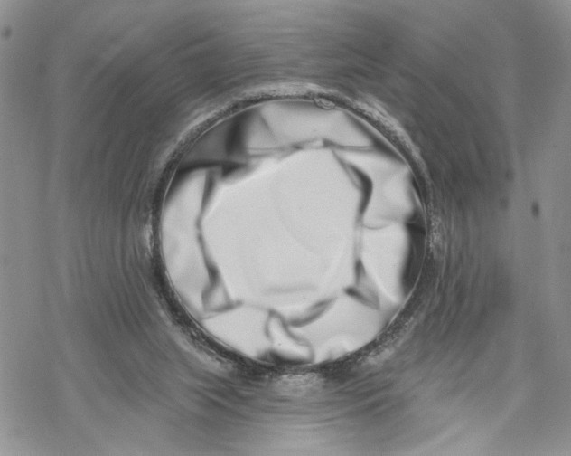 X0000069820063200606091431