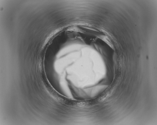 X0000069820064200606091431