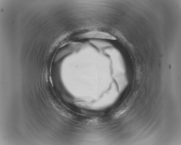 X0000069820068200606091431