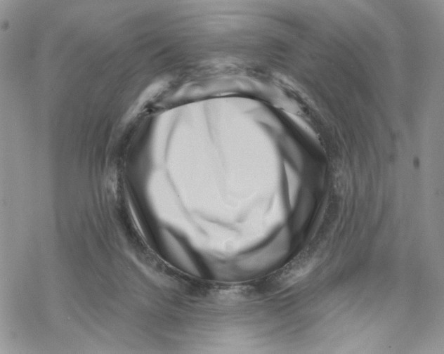 X0000069820072200606091431