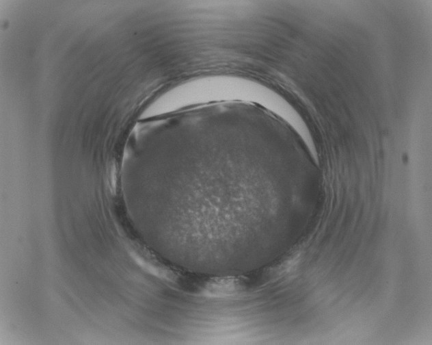 X0000069820076200606091431