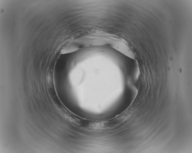X0000069820084200606091431