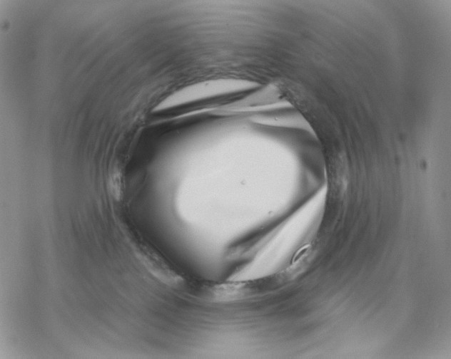 X0000069820090200606091431