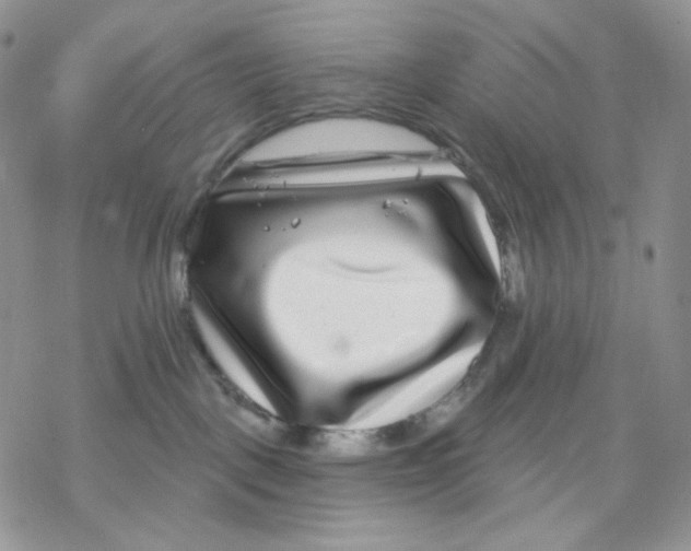 X0000069820093200606091432