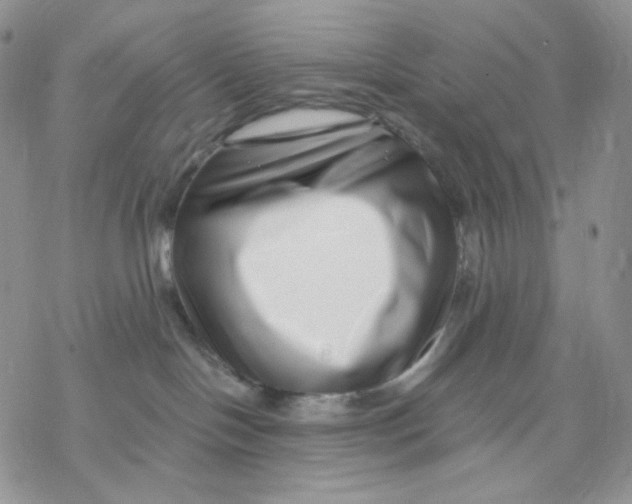 X0000069820094200606091432