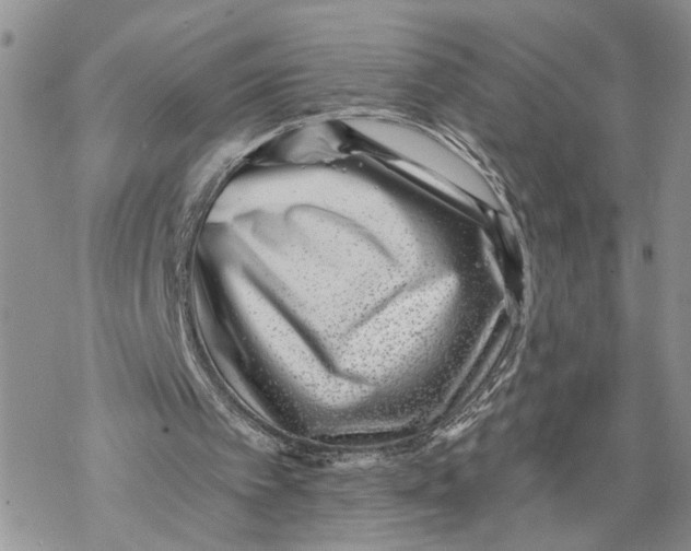 X0000069820097200606091431