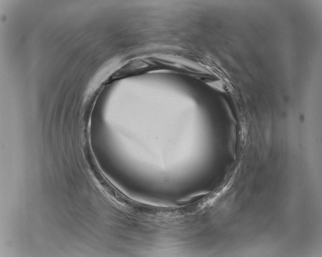 X0000069820101200606091431