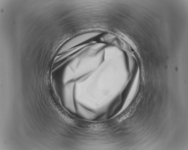 X0000069820105200606091431