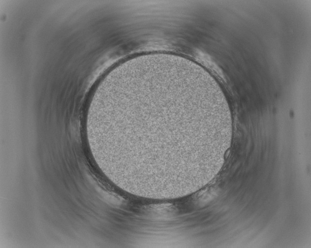X0000069820108200606091431