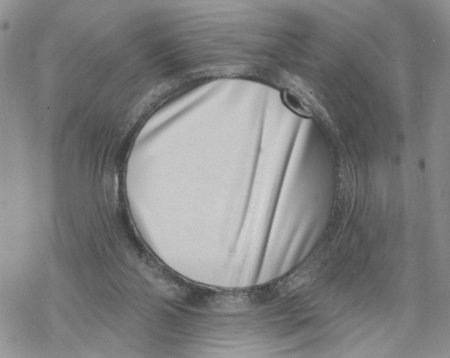 X0000069820110200606091431