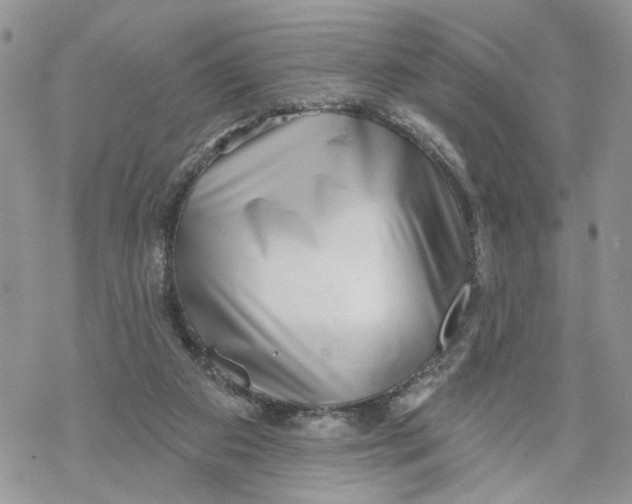 X0000069820113200606091431