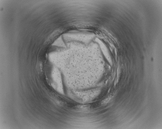 X0000069820117200606091430