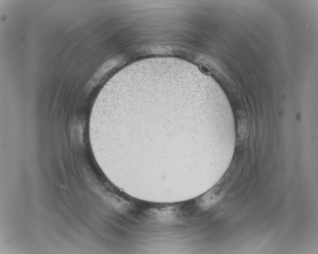 X0000069820120200606091430
